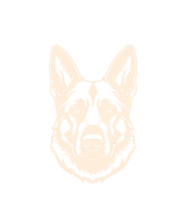 SDT Hundetrainer Logo